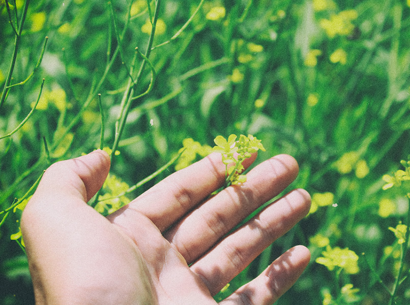 AMIO - Enfoque “Una Salud”