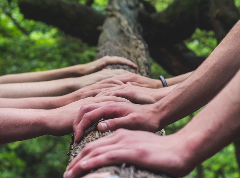 AMIO - Enfoque “Una Salud”