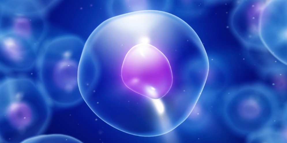 AMIO - Tratamiento Orthomolecular y COVID-19